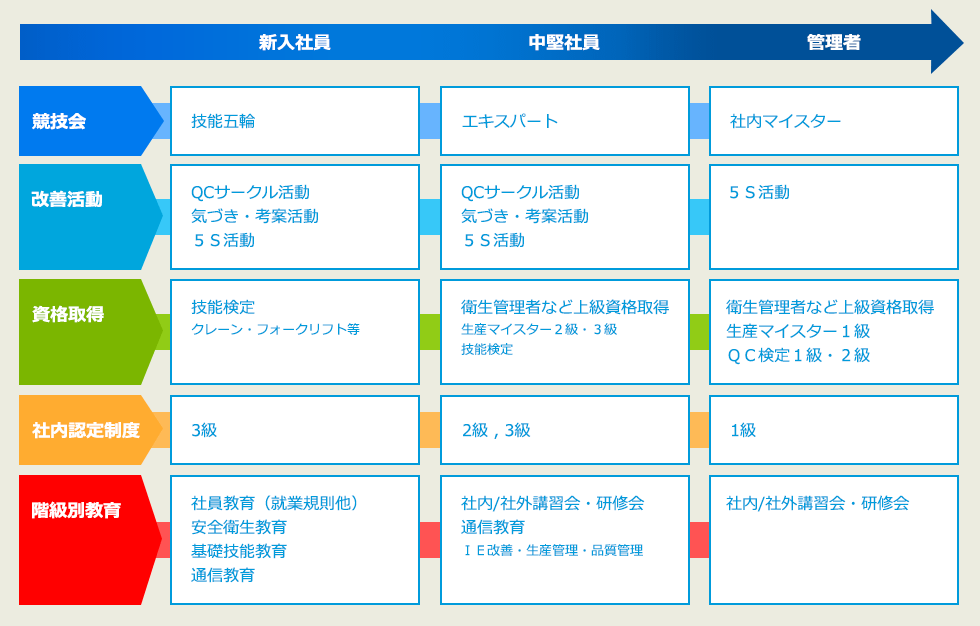 技能系教育の体系